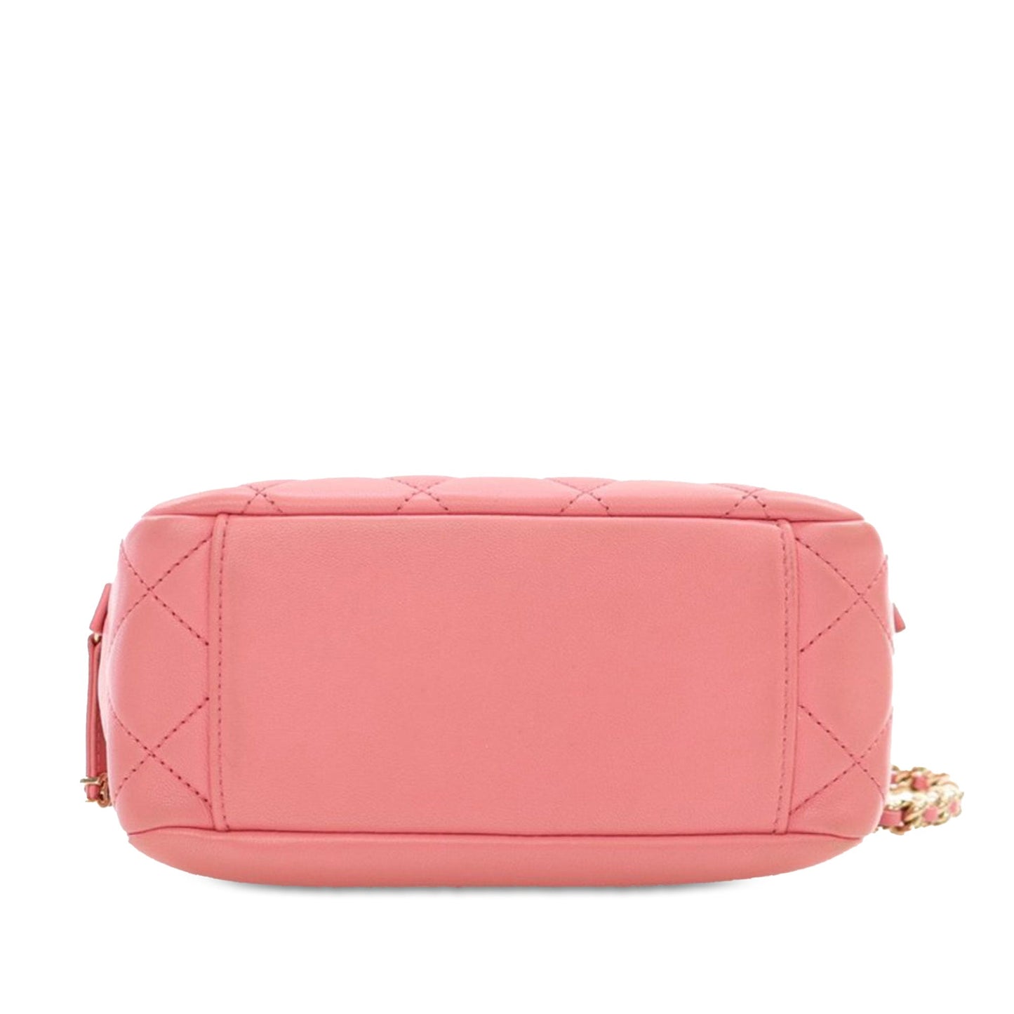 Pink Chanel Quilted Lambskin Studded Beauty Begins Camera Bag Satchel