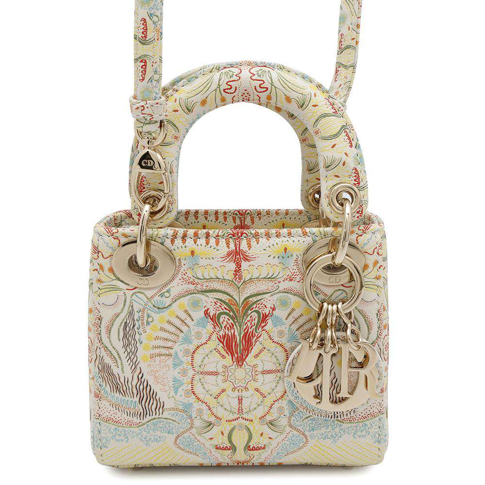 Dior Handbag ?Lady Leather Multicolor Micro