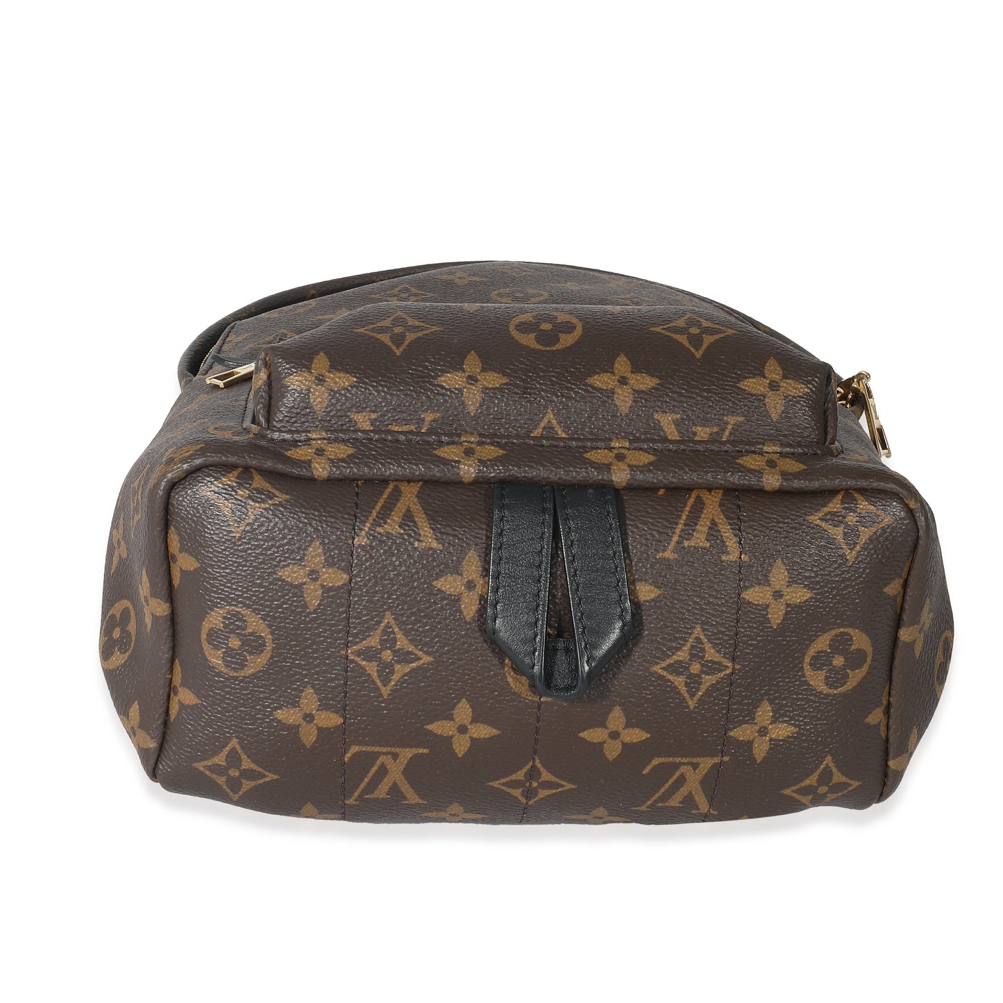 Louis Vuitton Palm Springs PM Monogram Canvas Jewelry 4