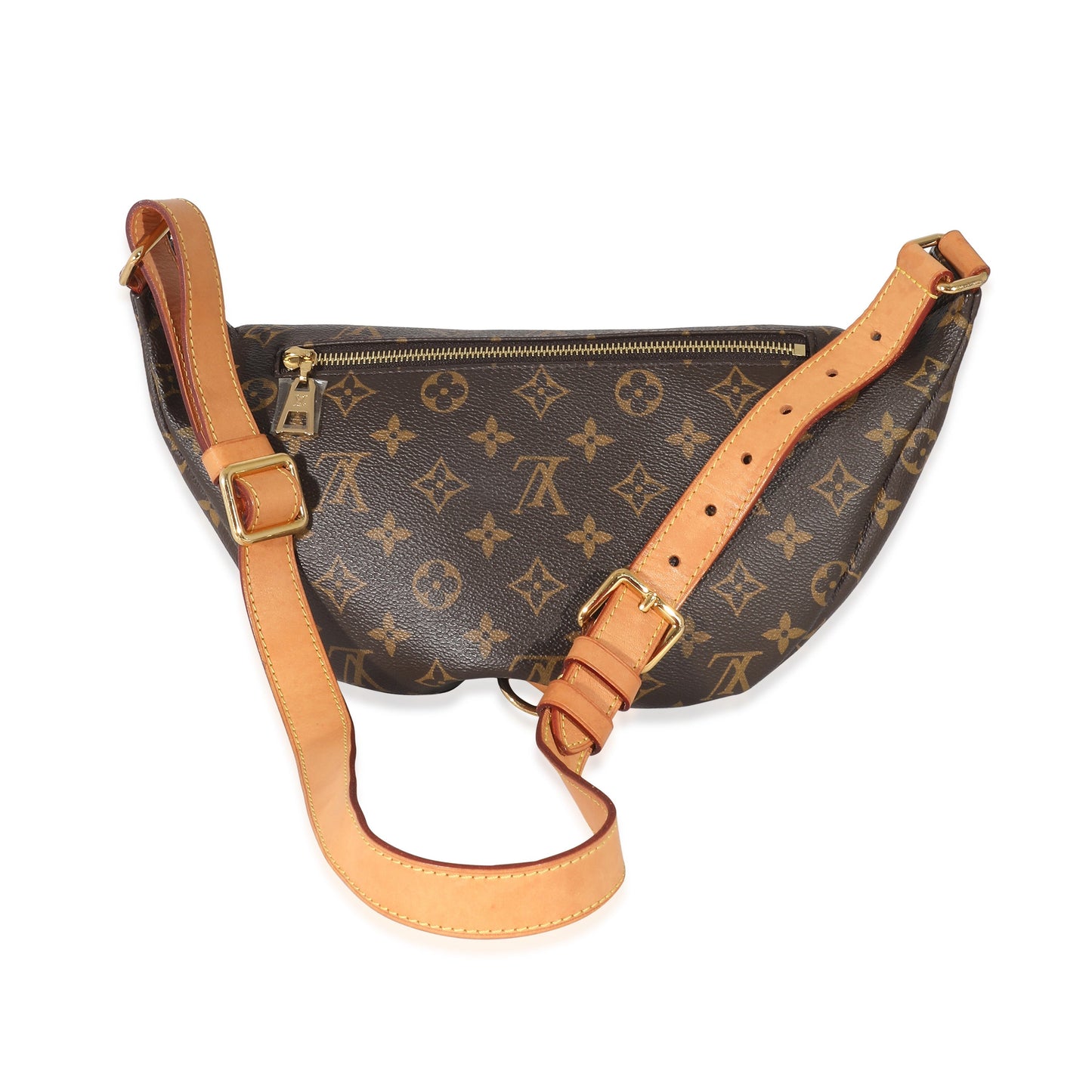 Louis Vuitton Bumbag Monogram Canvas Handbag 4