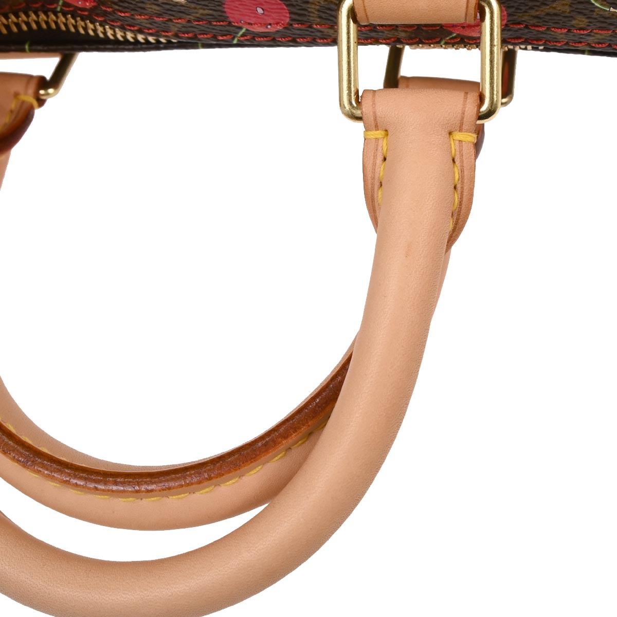 Louis Vuitton 2005 Monogram Cherry Speedy 25 Handbag M95009