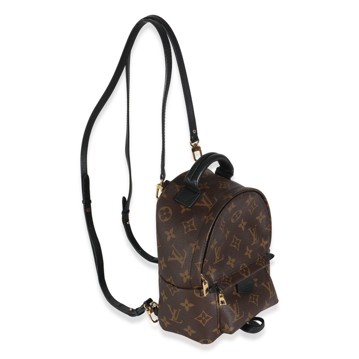 Louis Vuitton Palm Springs Monogram Canvas Mini Jewelry Palm Springs