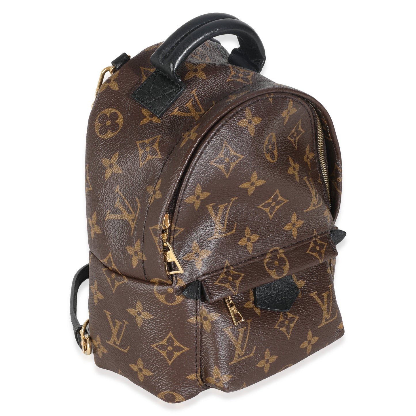 Louis Vuitton Palm Springs Monogram Canvas Mini Jewelry 4