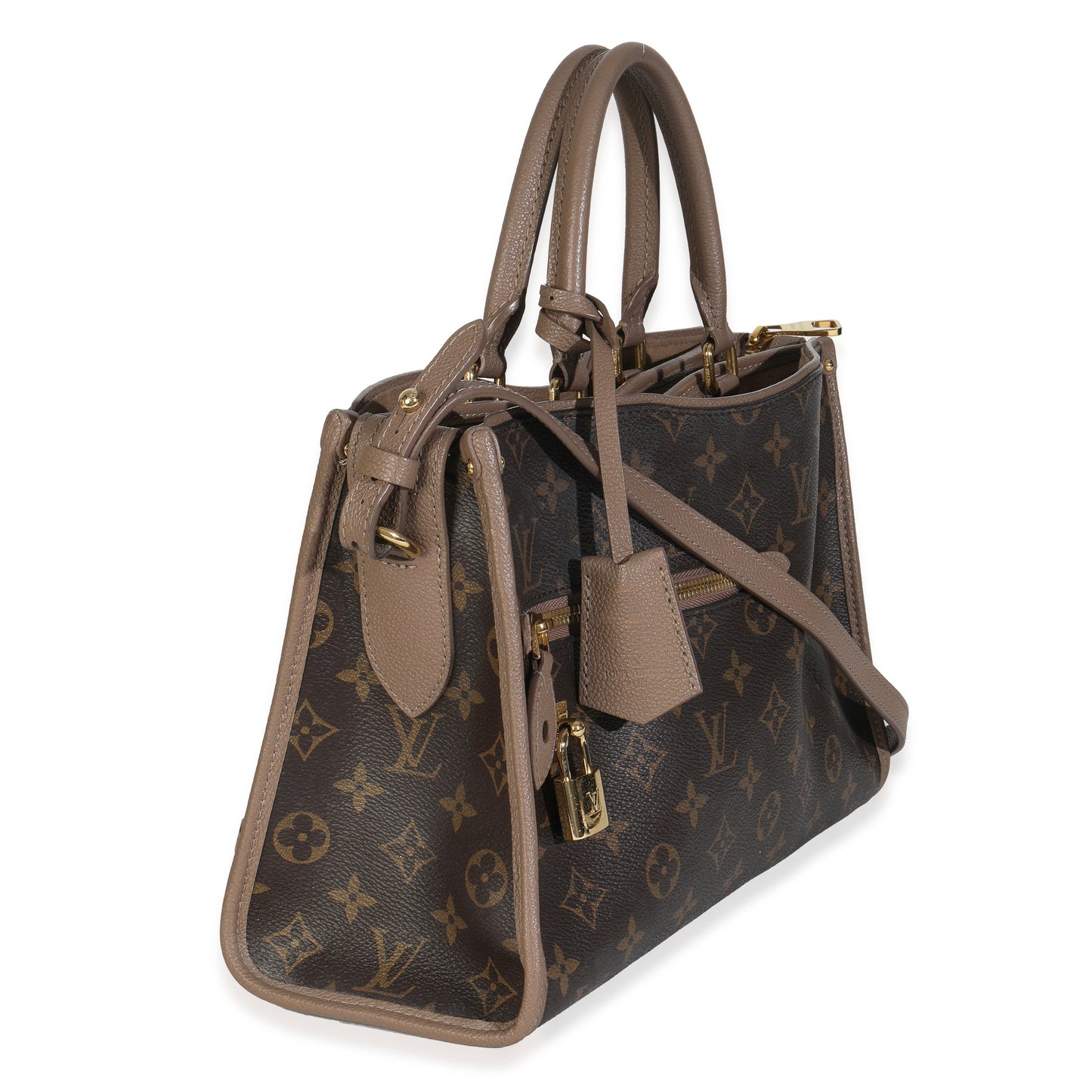 Louis Vuitton Taupe Glace Popincourt NM Monogram Canvas Handbag