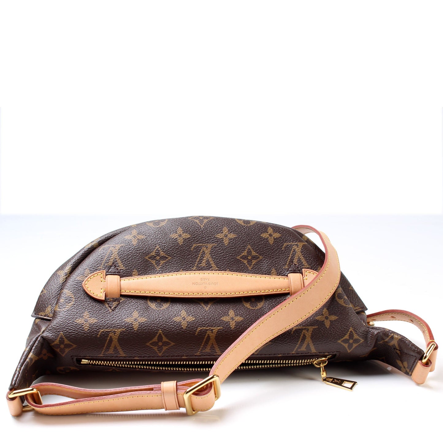 Louis Vuitton Bumbag Monogram Handbag Monogram 2