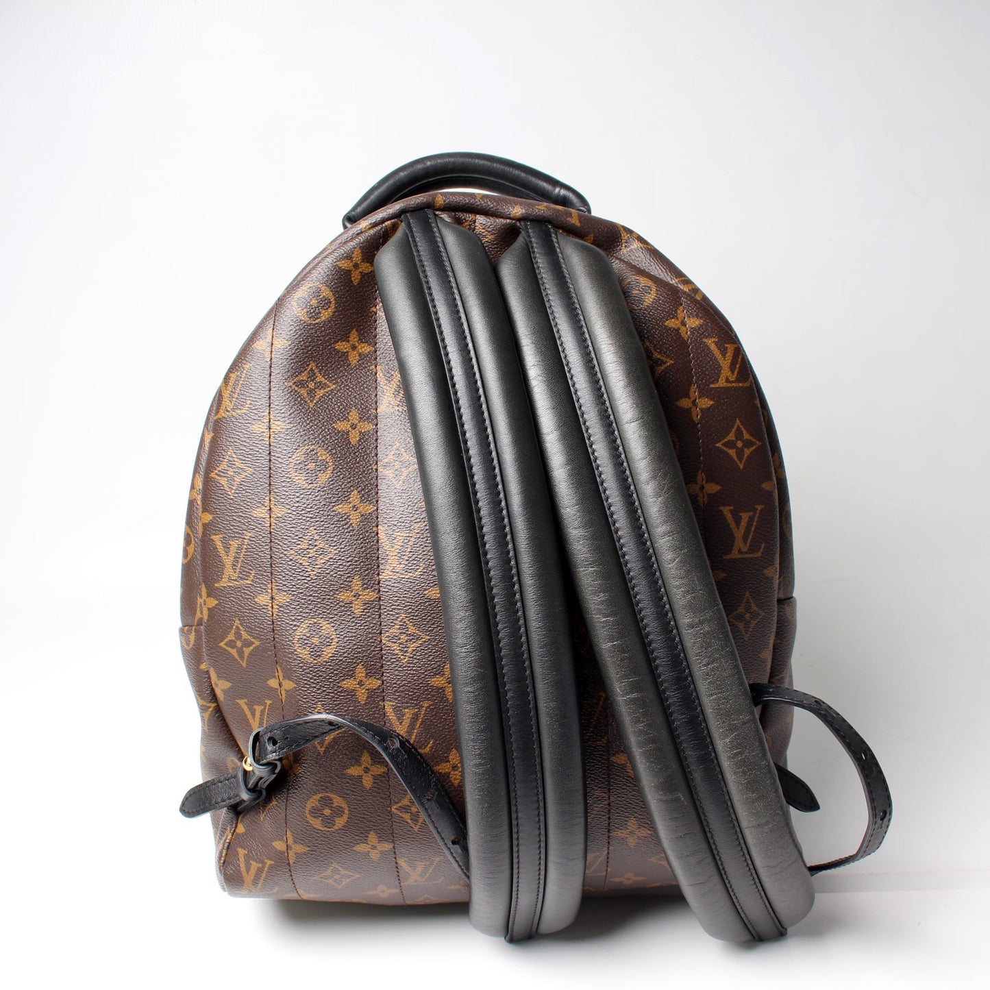 Louis Vuitton Palm Springs Backpack MM Monogram Jewelry Mm Monogram