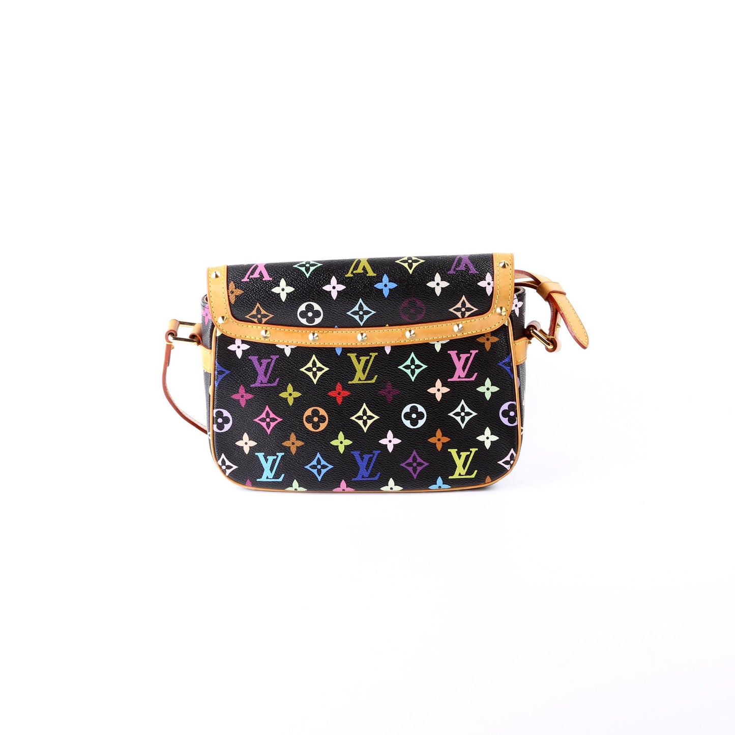 Louis Vuitton Sologne Monogram Multicolor Handbag Monogram 2
