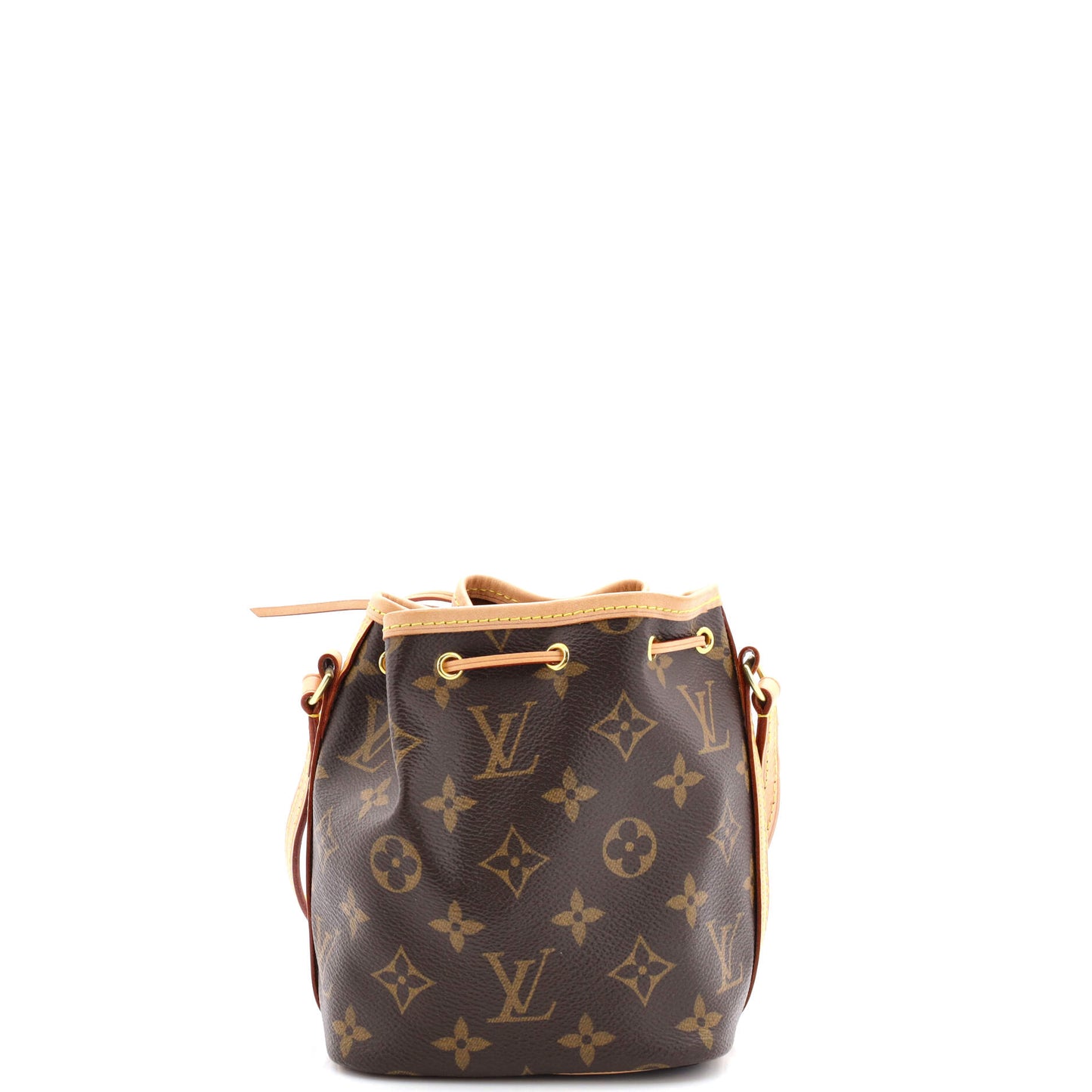 Louis Vuitton Noe Handbag Nano Canvas Monogram Bucket Bag