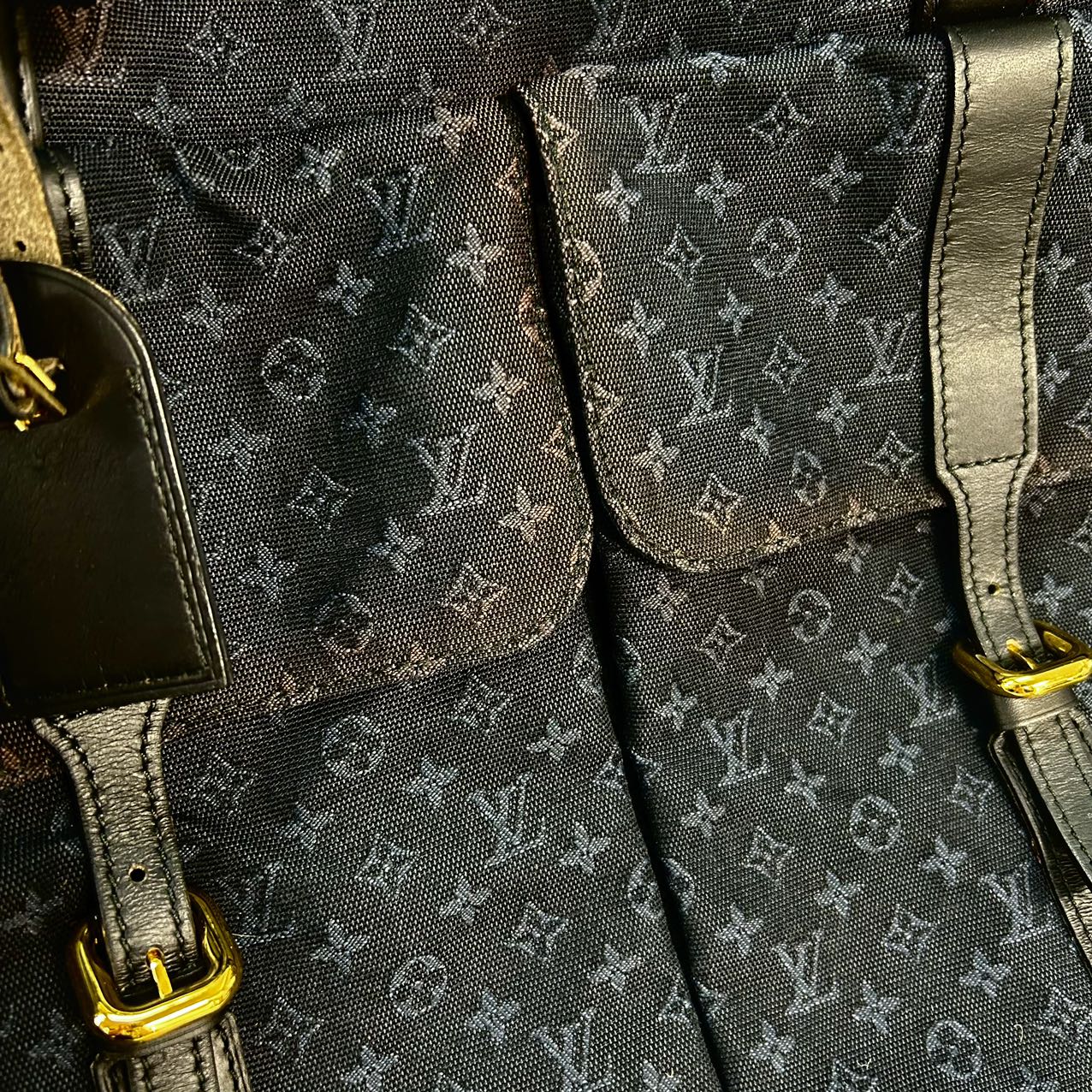 Louis Vuitton Claudine Monogram Fashion Accessory