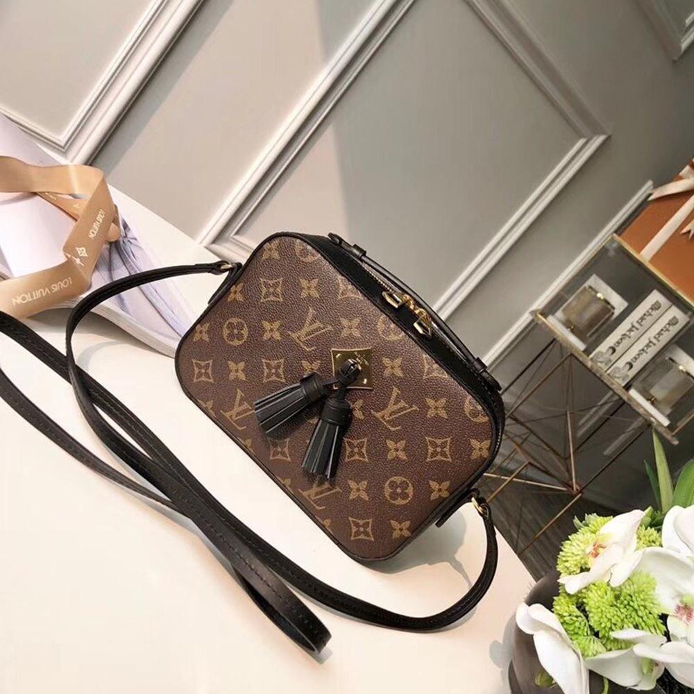 Louis Vuitton SAINTONGE Fashion Accessory