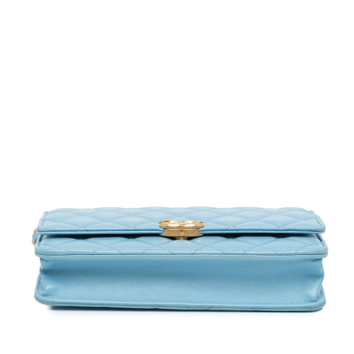 Chanel Quilted Lambskin Candy on Wallet Case On Chain