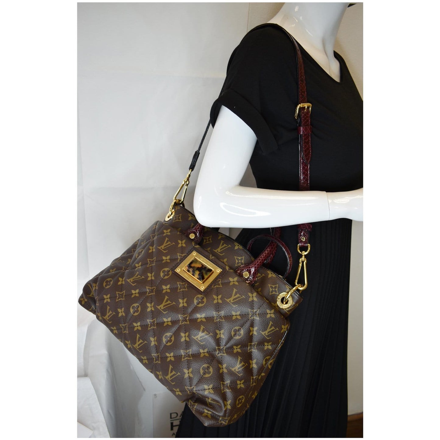 Louis Etoile Mm Exotique Shoulder Bag Canvas Monogram