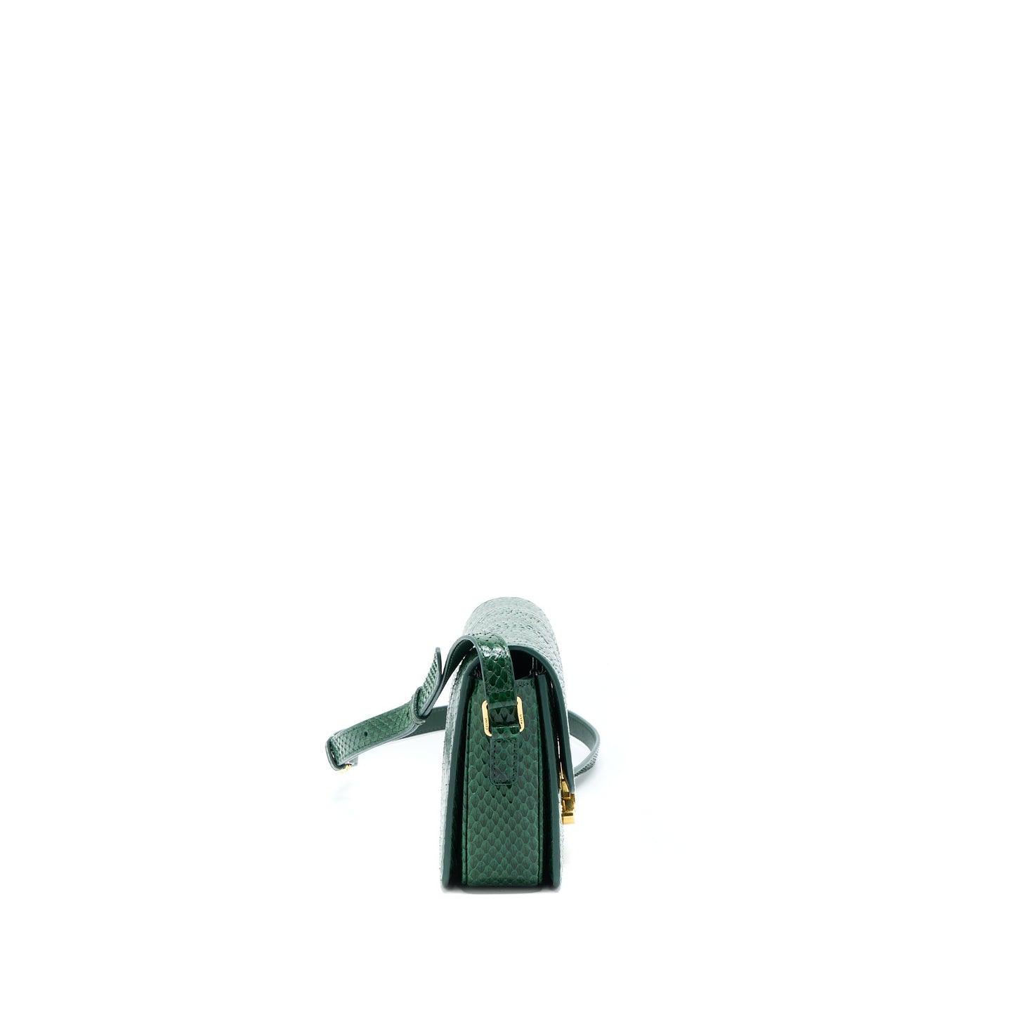 Celine Triomphe Purse Water Snake Handbag Leather Green Travel Bag