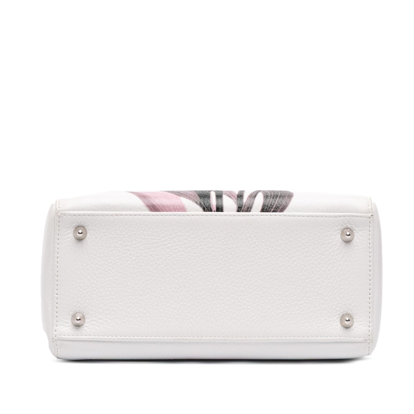 Dior Deerskin Floral Printed Lady Satchel Bag Medium Lady Dior 1