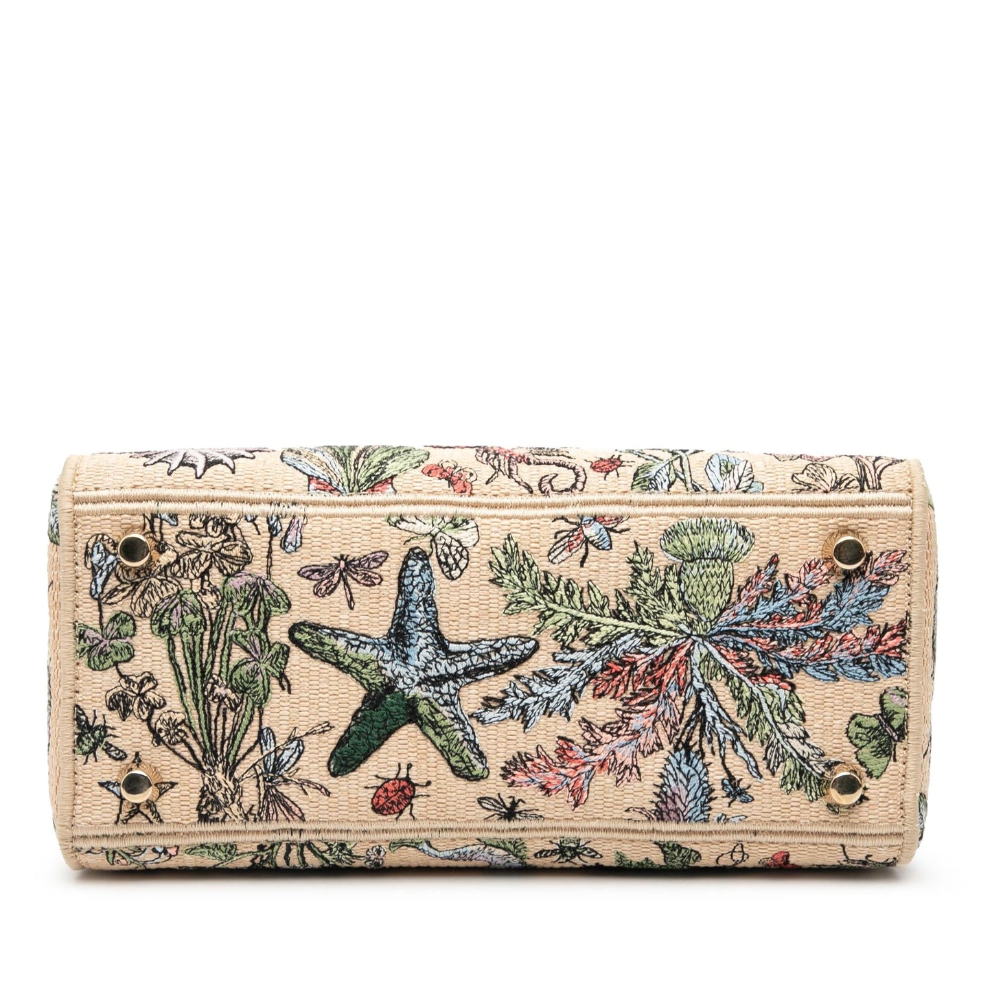 Dior Lady Lite Satchel Bag Canvas Medium Embroidered