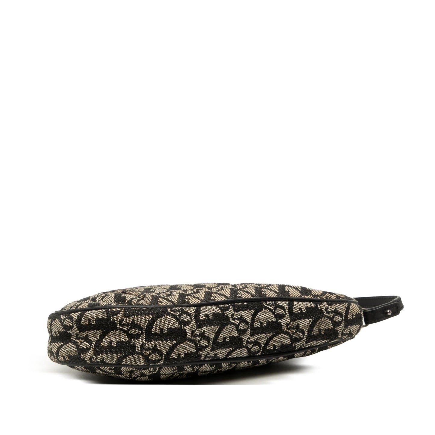 Dior issimo Saddle Pochette Shoulder Bag Canvas Mini Saddle Pochette 9