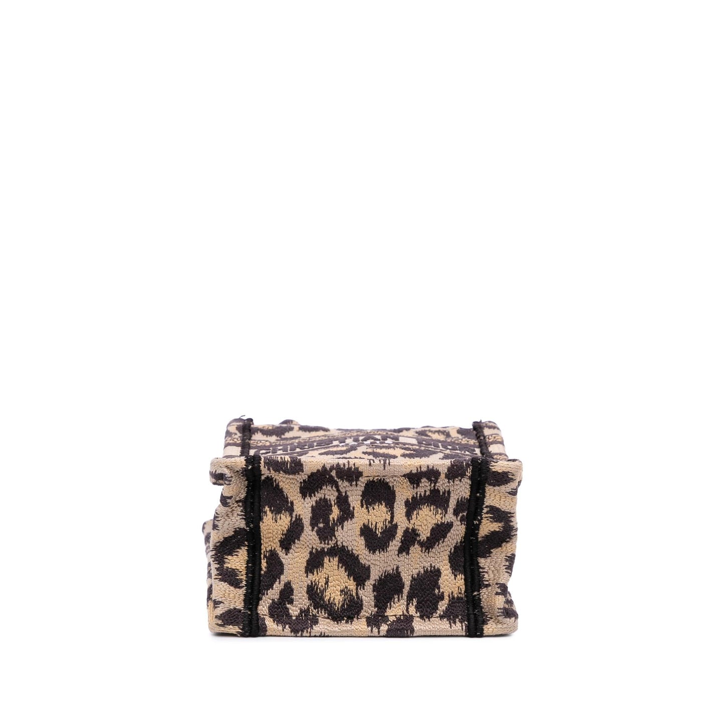 Dior Mizza Leopard Vertical Book Tote Canvas Mini Embroidered Tote Bag Book Tote 1