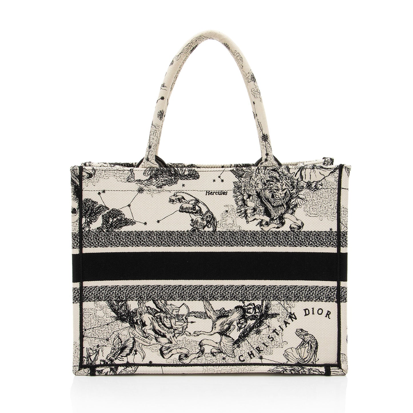 Dior Zodiac Toile De Jouy Book Tote Medium Tote Bag