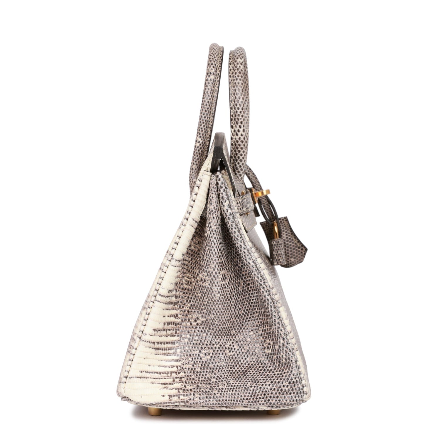 Hermes Birkin Ombre Shiny Salvator Lizard Hardware Handbag Gold Travel Bag