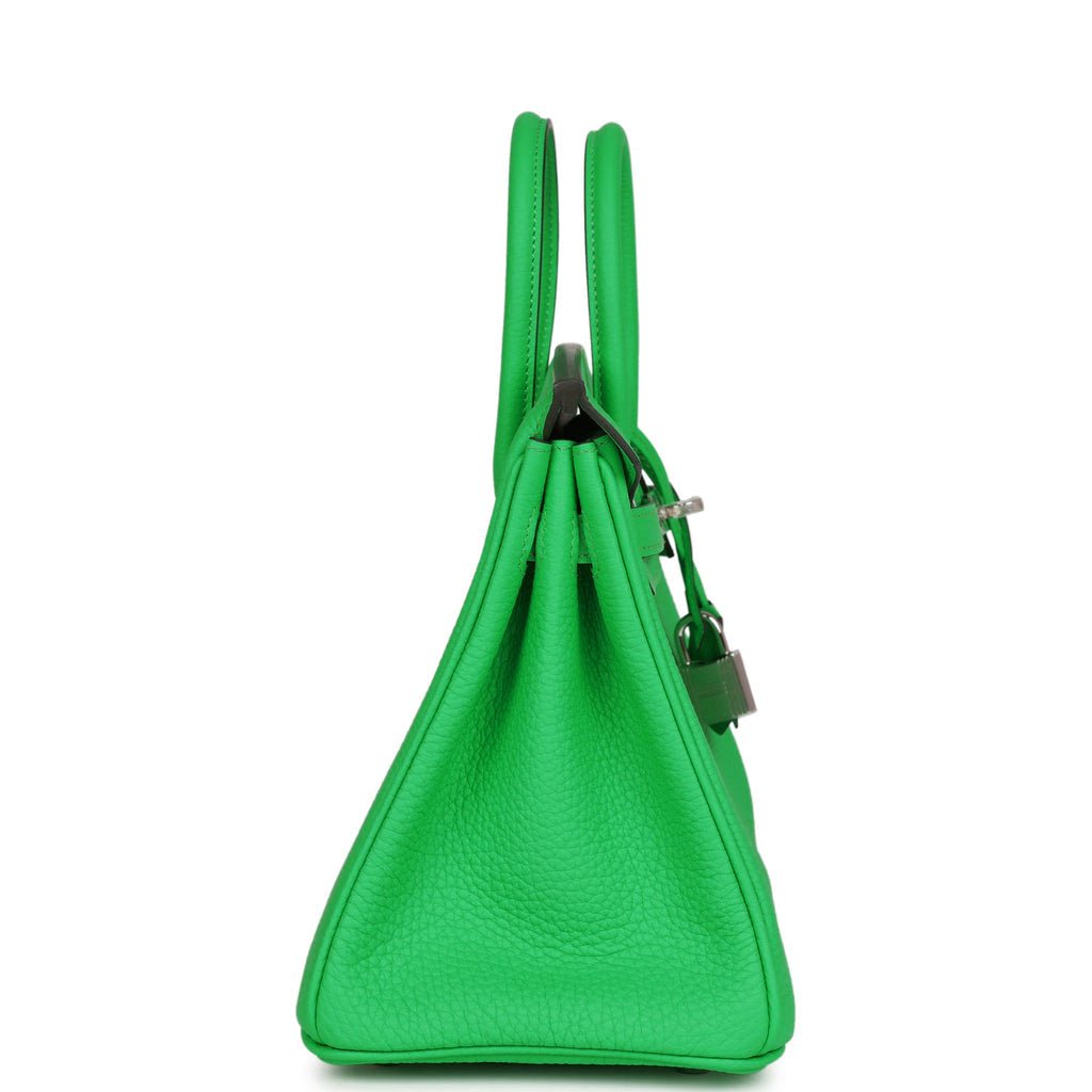 Hermes Birkin Vert Comics Togo Palladium Hardware Handbag Travel Bag
