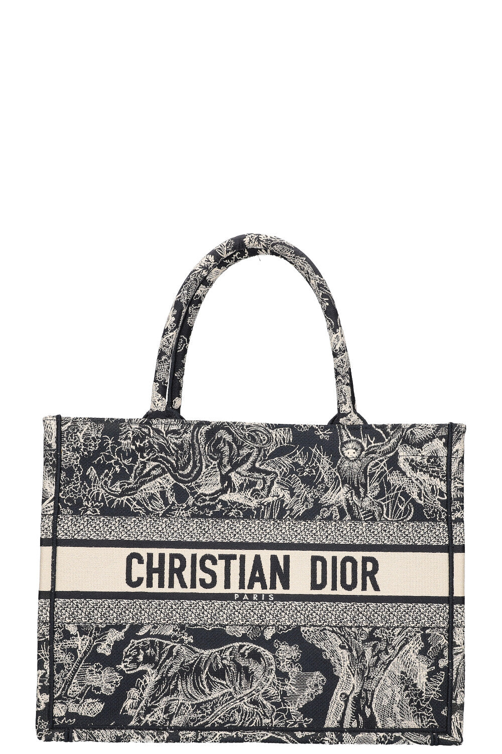 Dior Tote Bag Book Tote & White Blue