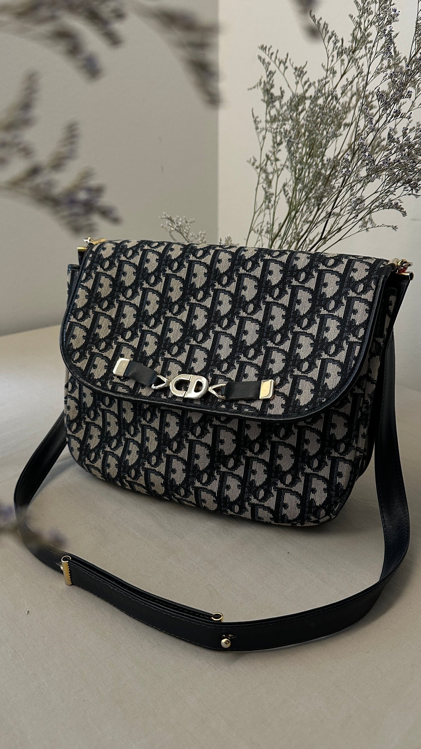 Dior Crossbody Bag Oblique Bag Blue