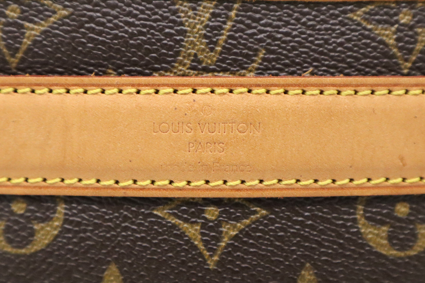 Louis Vuitton Sac Chien 40 Monogram Canvas Handbag