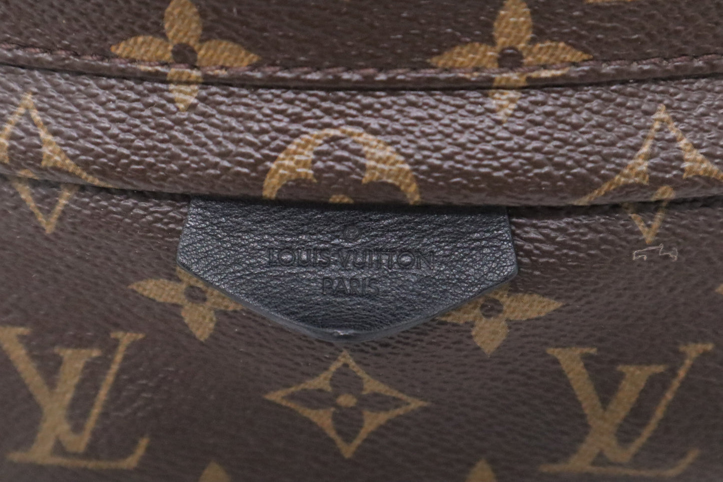 Louis Vuitton Palm Springs Backpack PM Monogram Canvas Jewelry