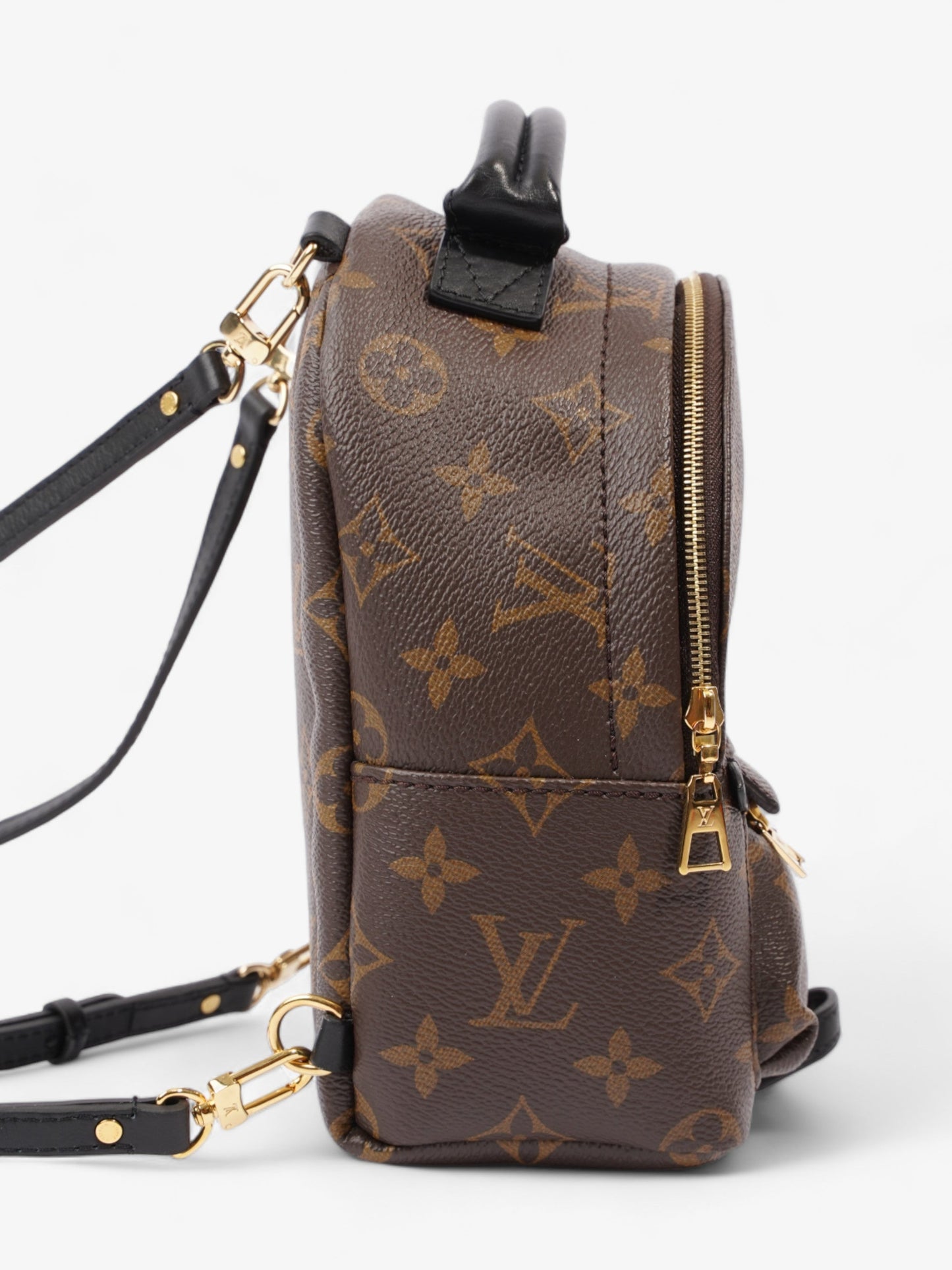 Louis Vuitton Palm Springs Coated Monogram Canvas Coated Canvas Apparel Canvas Mini