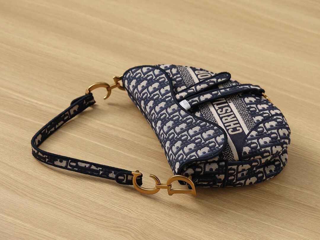Logo Saddle Oblique Embroidered Cd Canvas Beige Blue Travel Bag