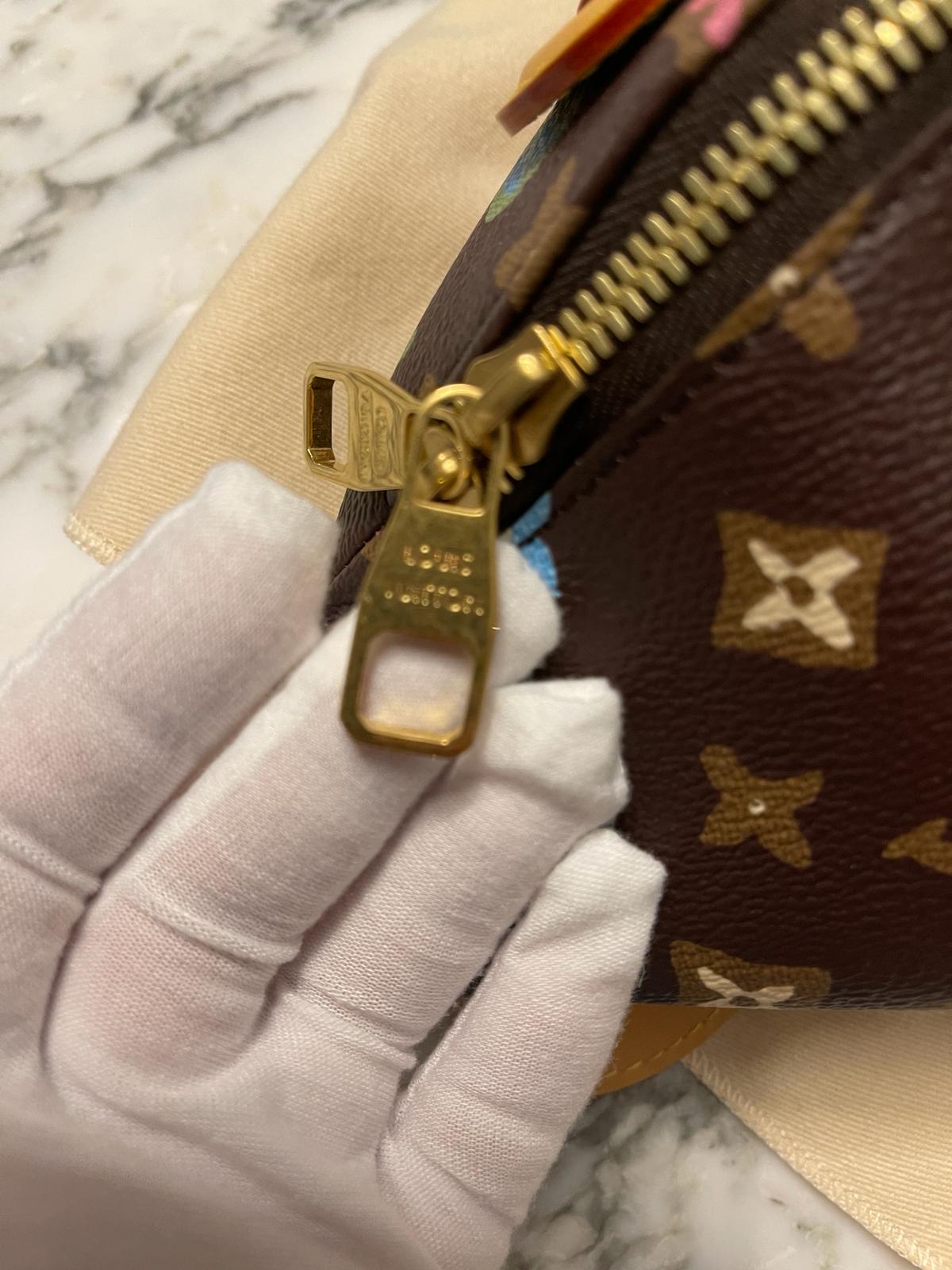 Louis Vuitton by Tyler Creator Rush Bumbag Handbag