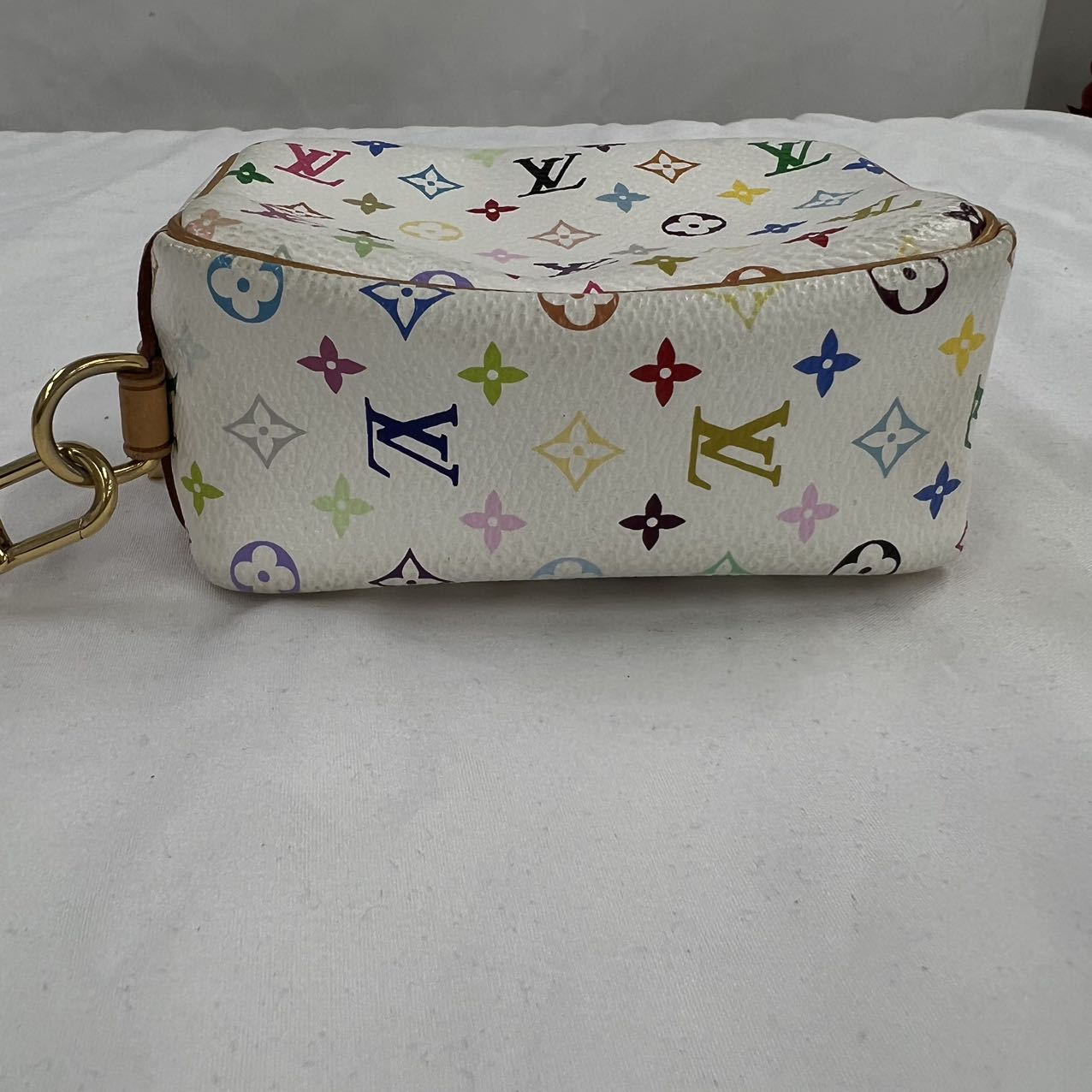 Louis Vuitton Truth Wapiti Multi Color Fashion Accessory