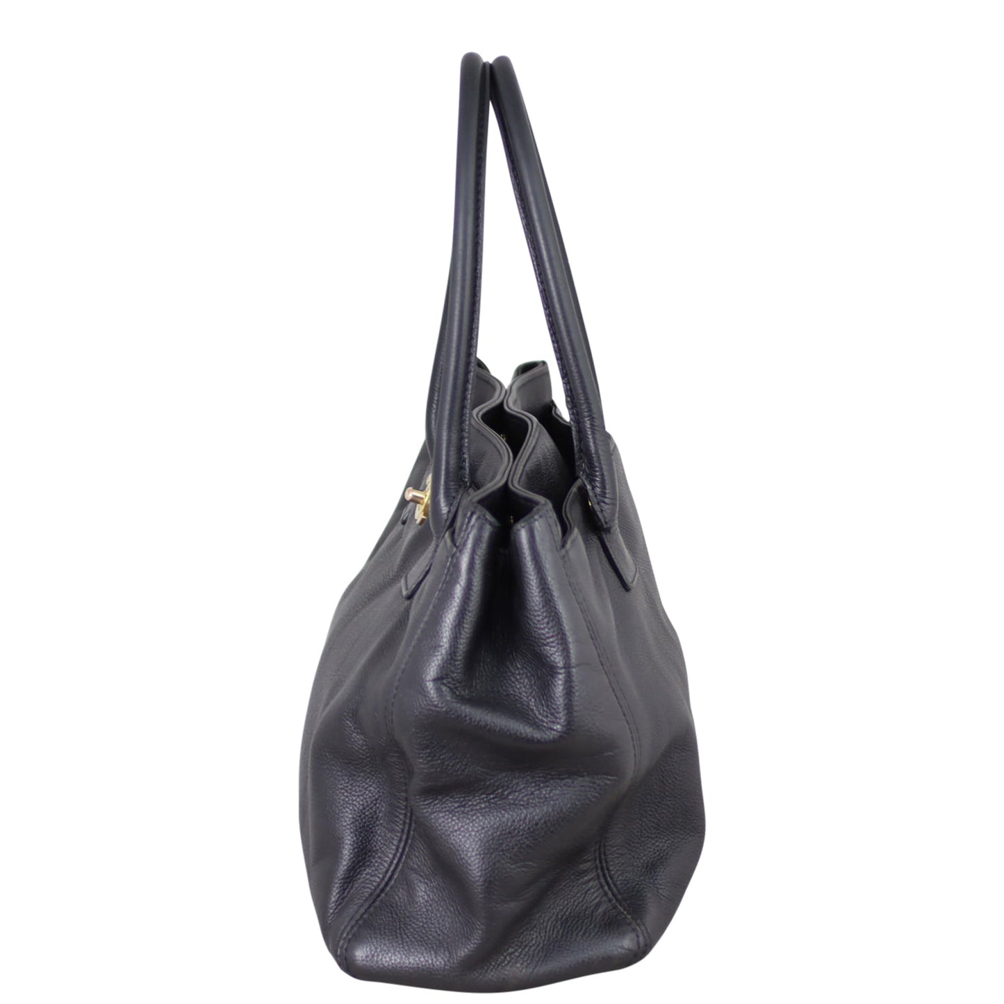 Chanel Cerf Tote Hardware Gold Tote Bag