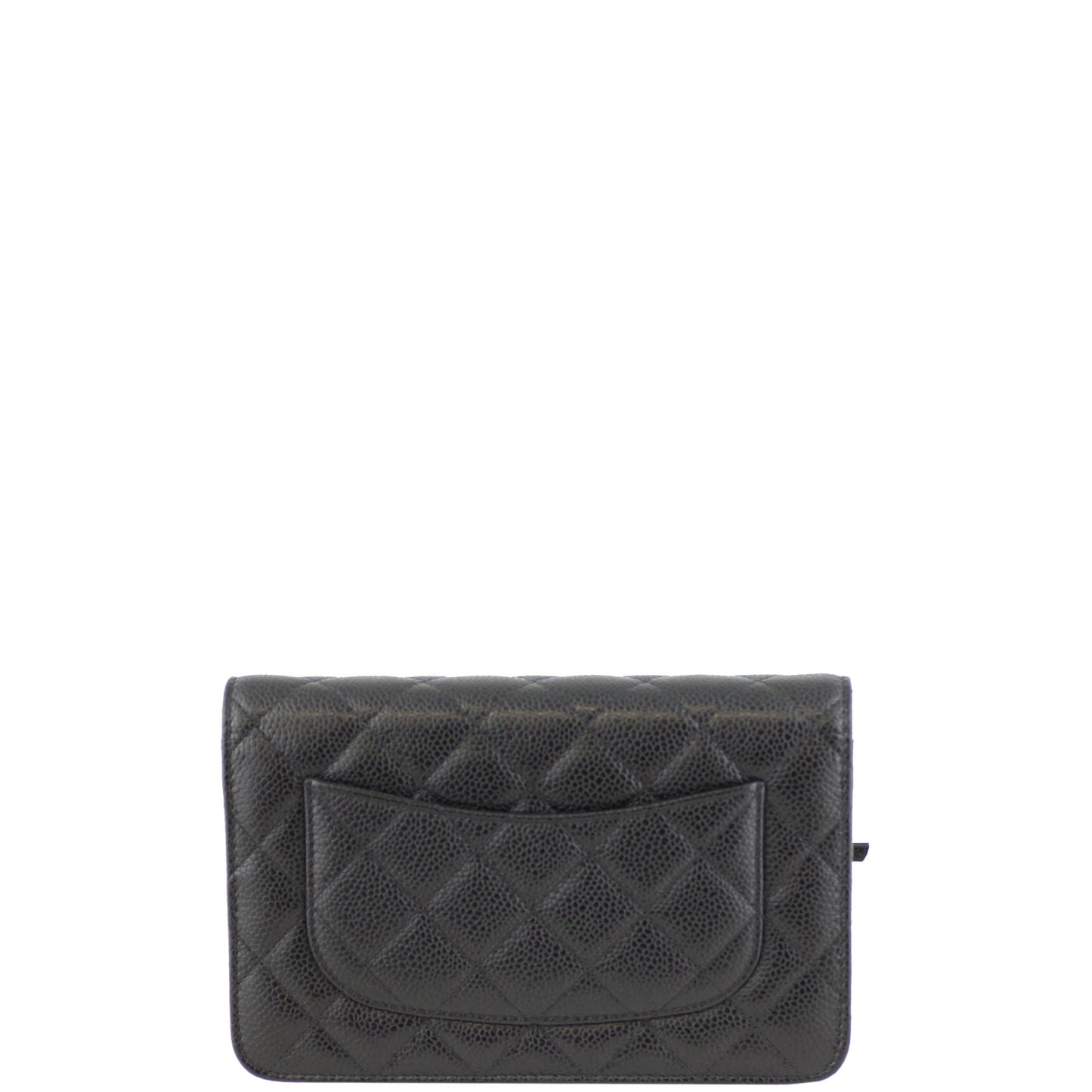Chanel Classic Wallet on 23 Series Handbag Chain