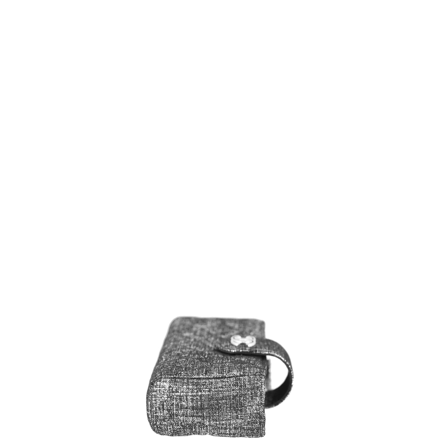 Chanel Iridescent O- Clutch Mini Clutch Bag