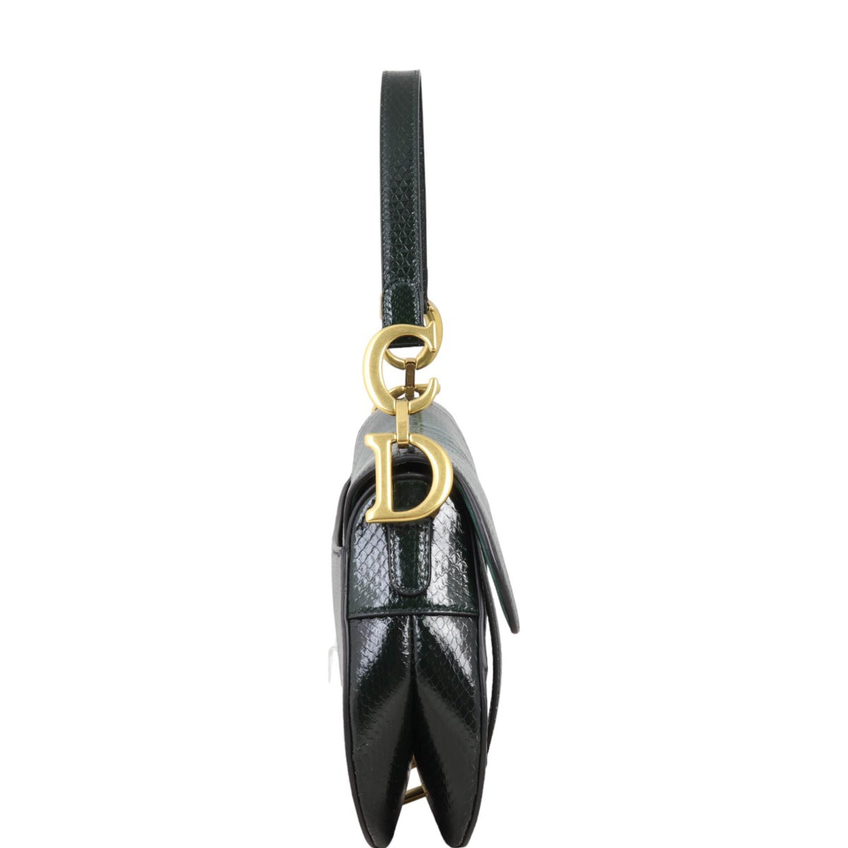 Dior Saddle Bag Python Travel Bag