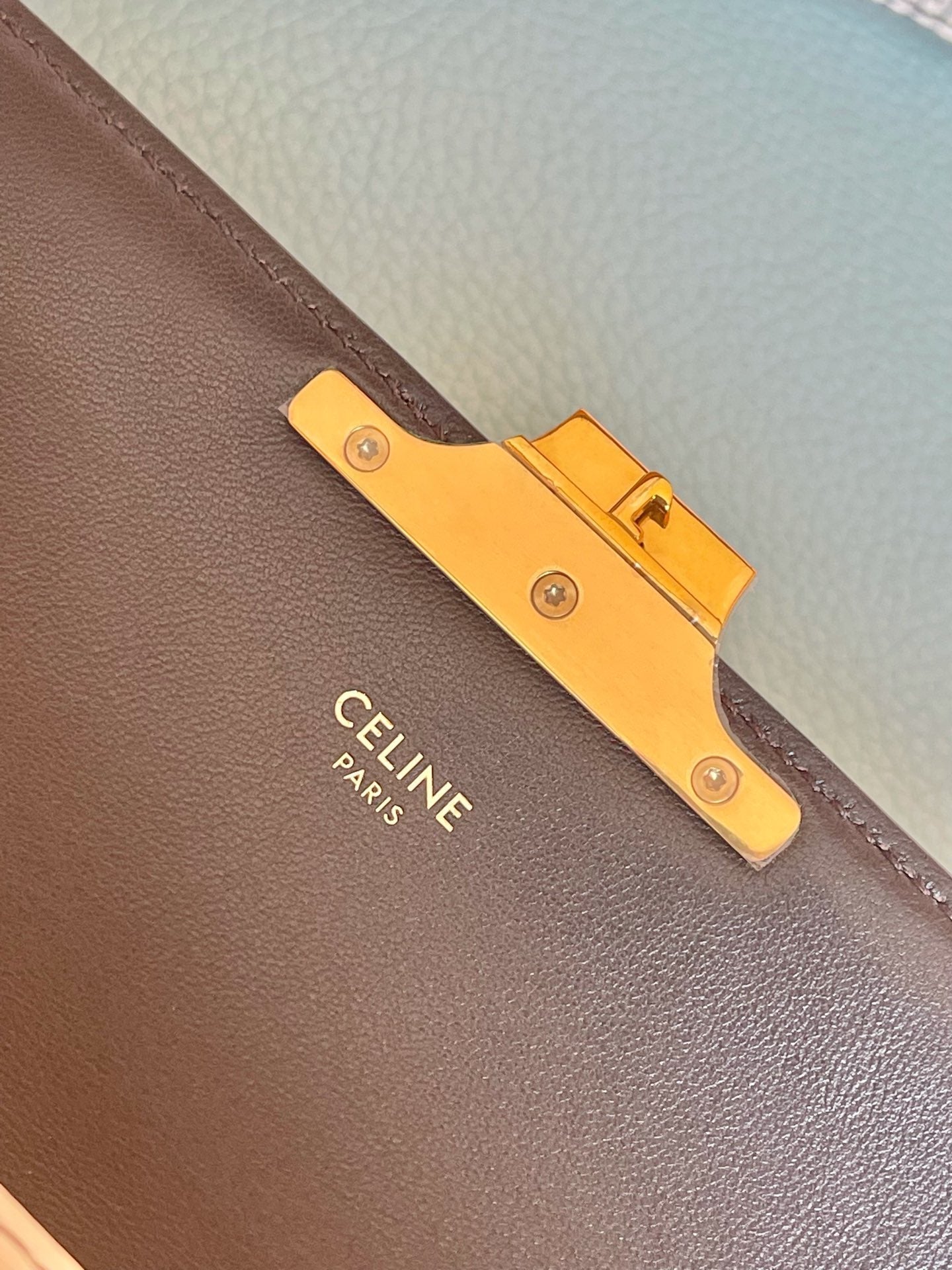 Top Quality Triomphe Shoulder Bag In Lizard