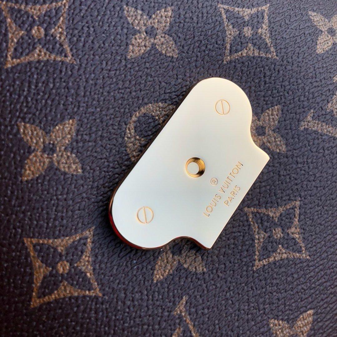 Louis Vuitton SAINT-PLACIDE Fashion Accessory