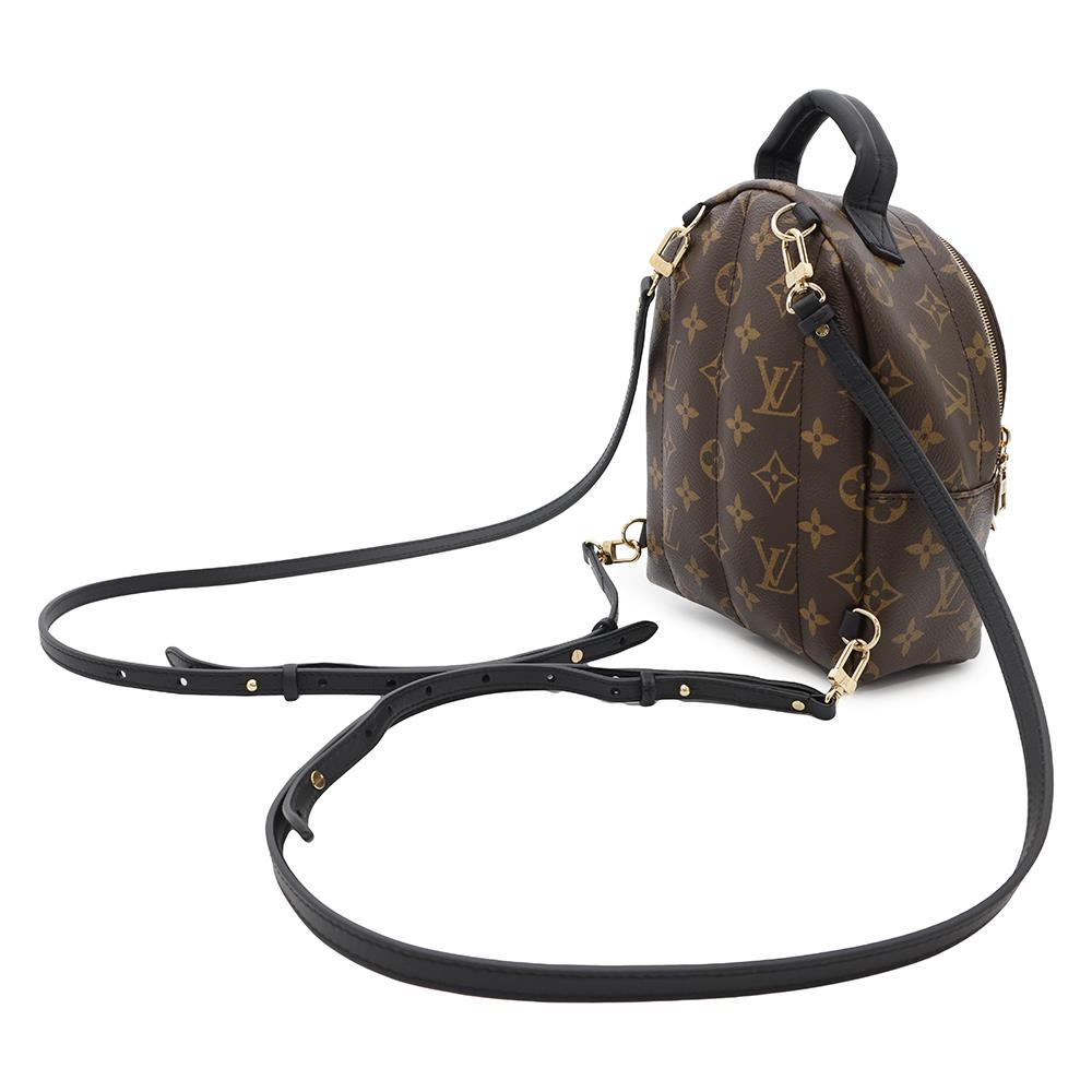 Louis Vuitton Palm Springs Backpack NoirM44873 Monogram Jewelry 4