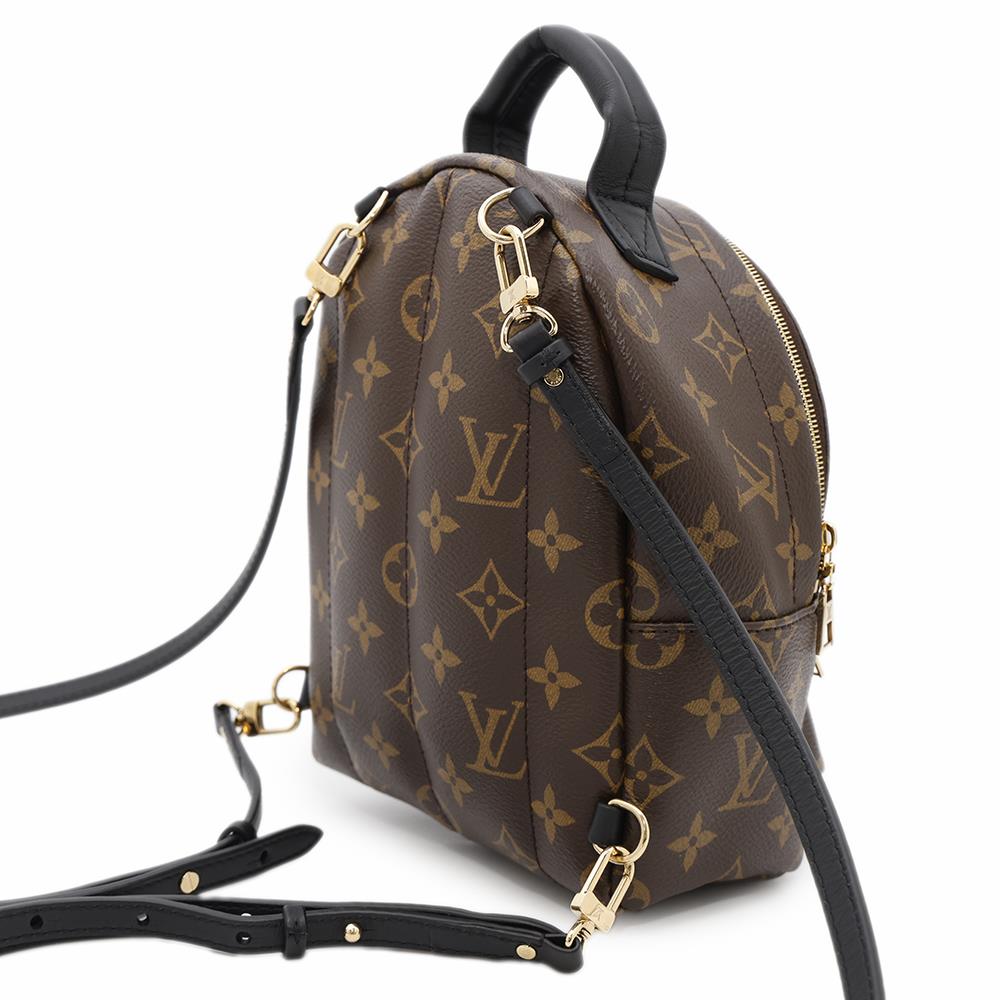 Louis Vuitton Palm Springs Backpack NoirM44873 Monogram Jewelry 4