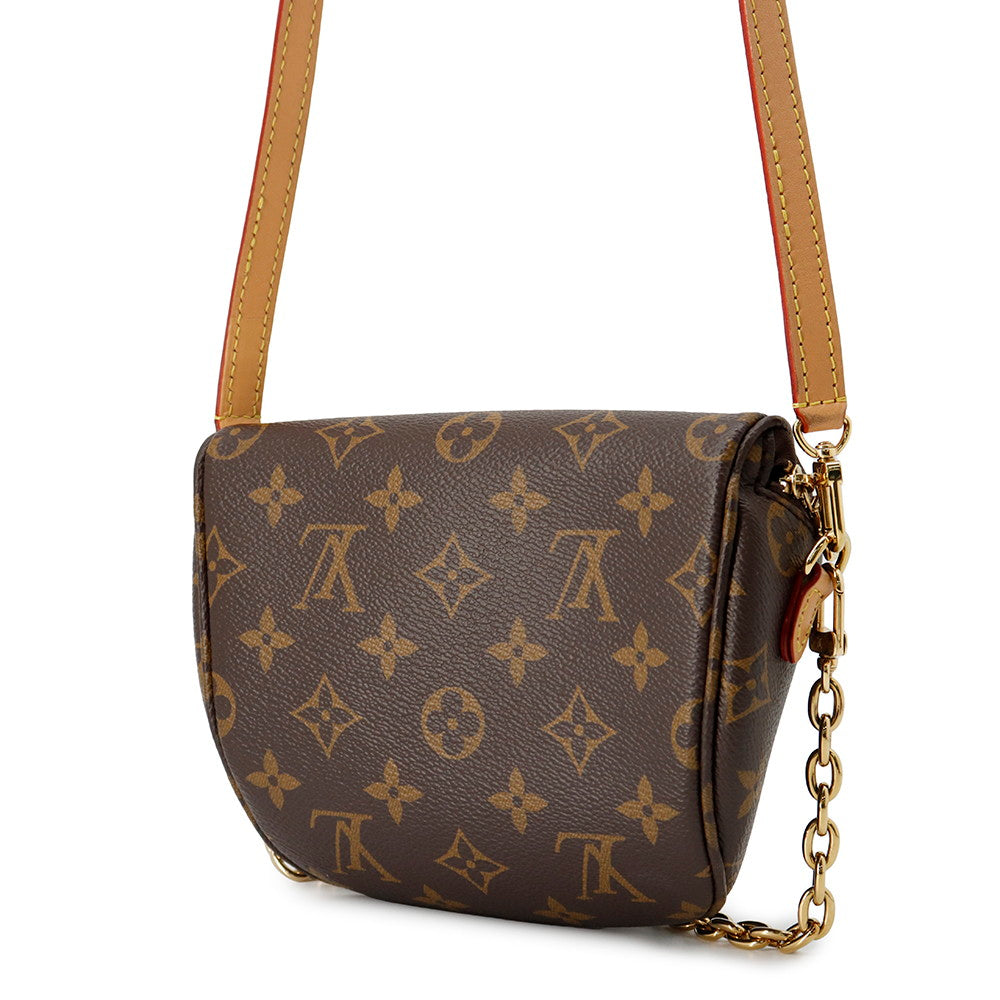 Louis Vuitton Bumbag BrownM82335 Monogram Mini Bag 2