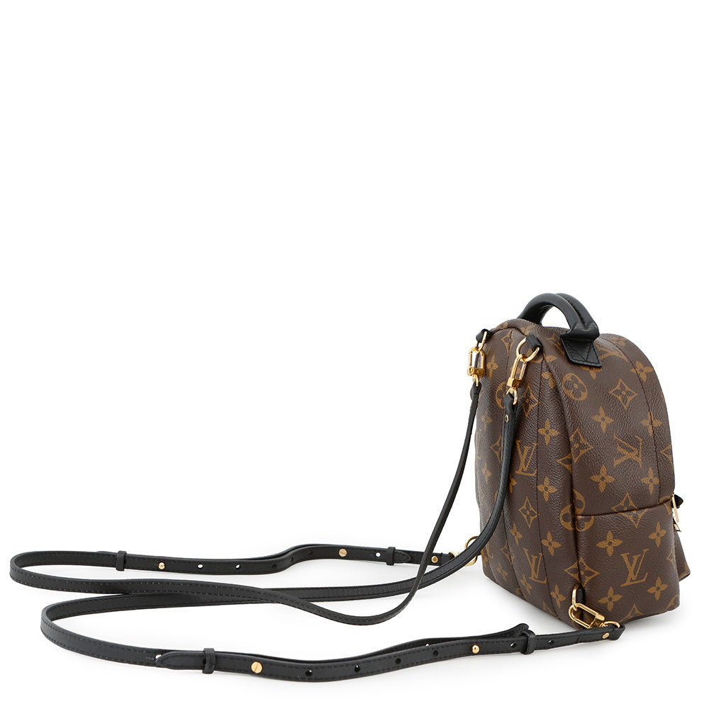 Louis Vuitton Palm Springs Backpack NoirM44873 Monogram Jewelry 5