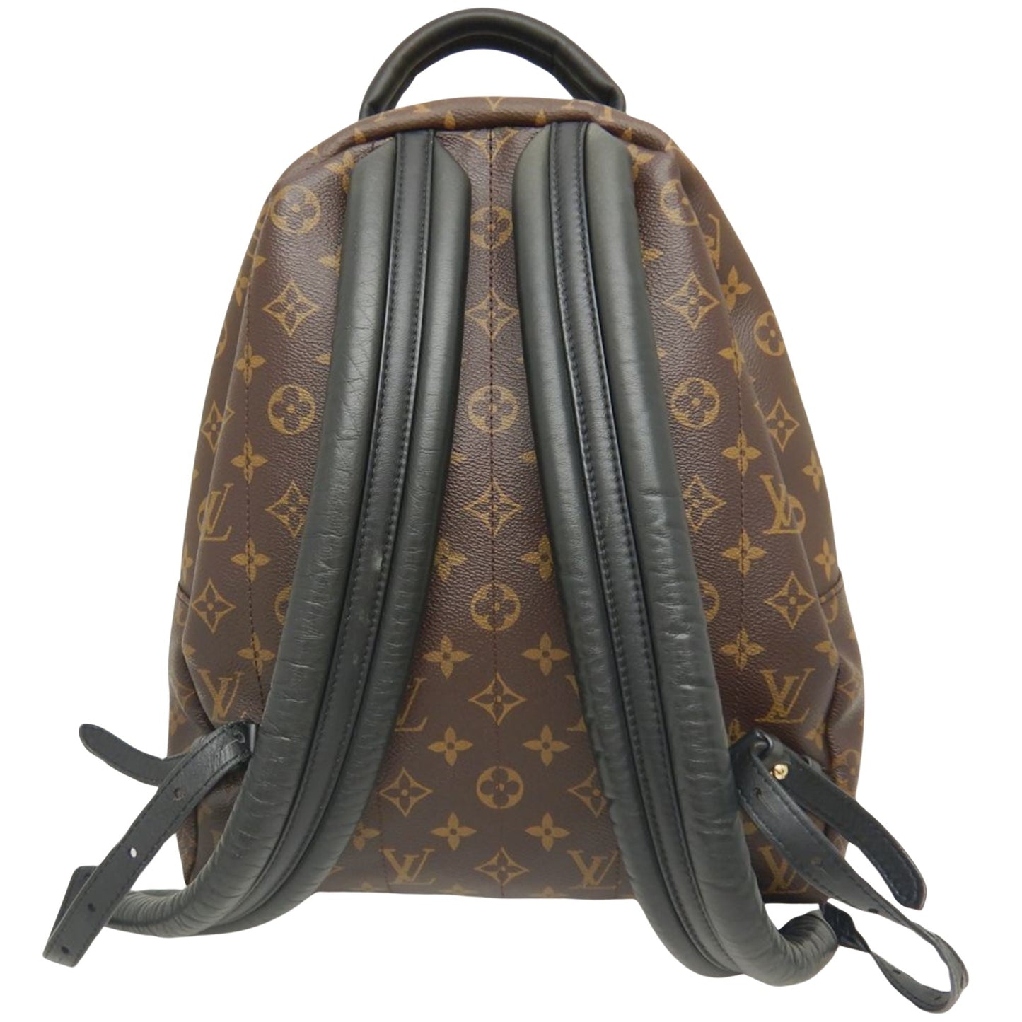 LOUIS VUITTON Palm SpRing MM Backpack