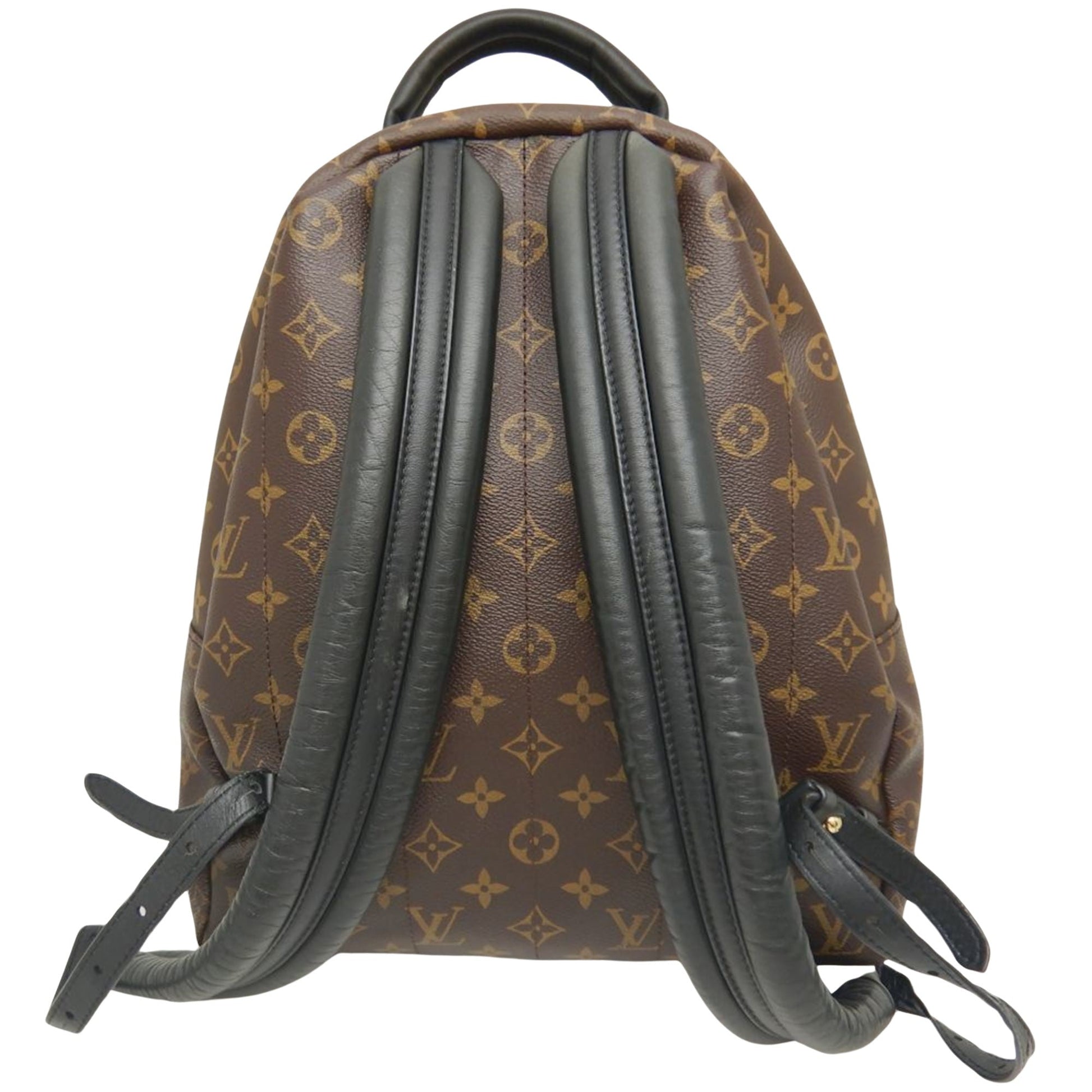 LOUIS VUITTON Palm SpRing MM Backpack