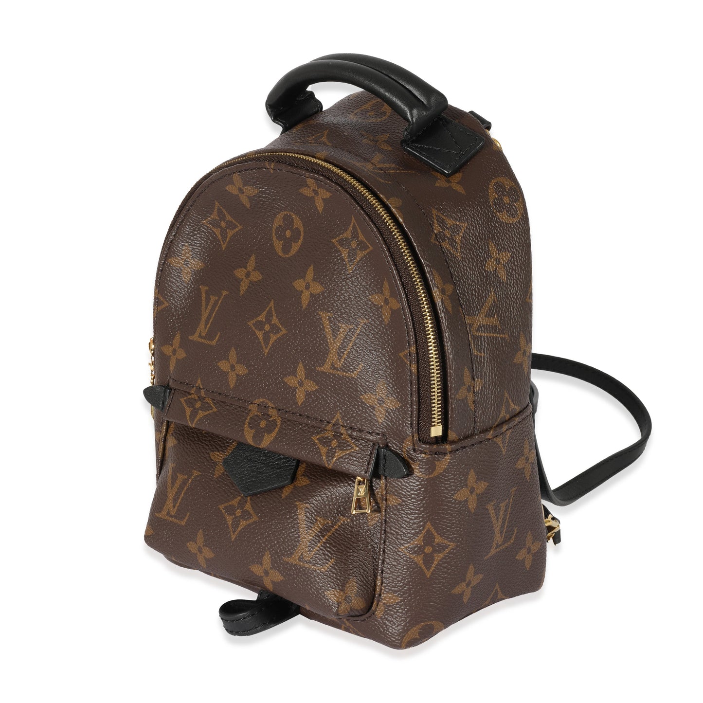 Louis Vuitton Palm Springs Backpack Monogram Canvas Mini Jewelry 3
