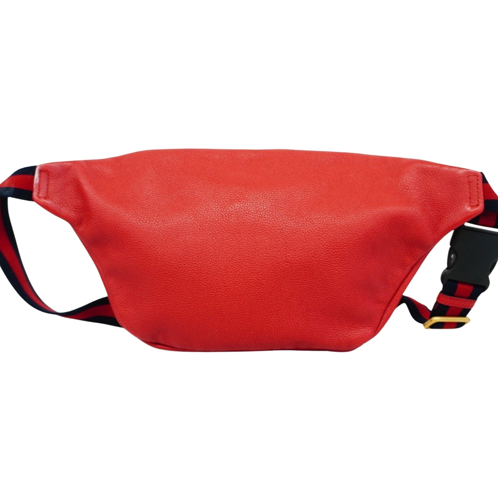 Gucci Belt Bag Accessory Bag 16
