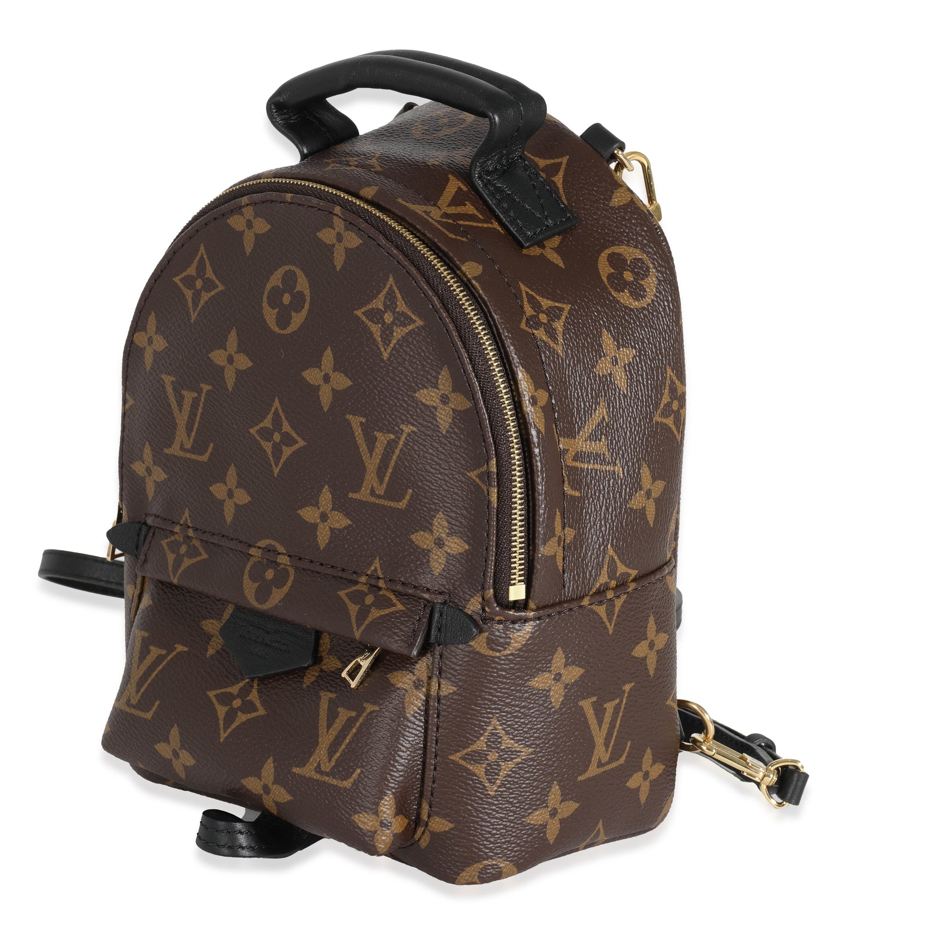 Louis Vuitton Palm Spring Backpack Monogram Canvas Mini Jewelry