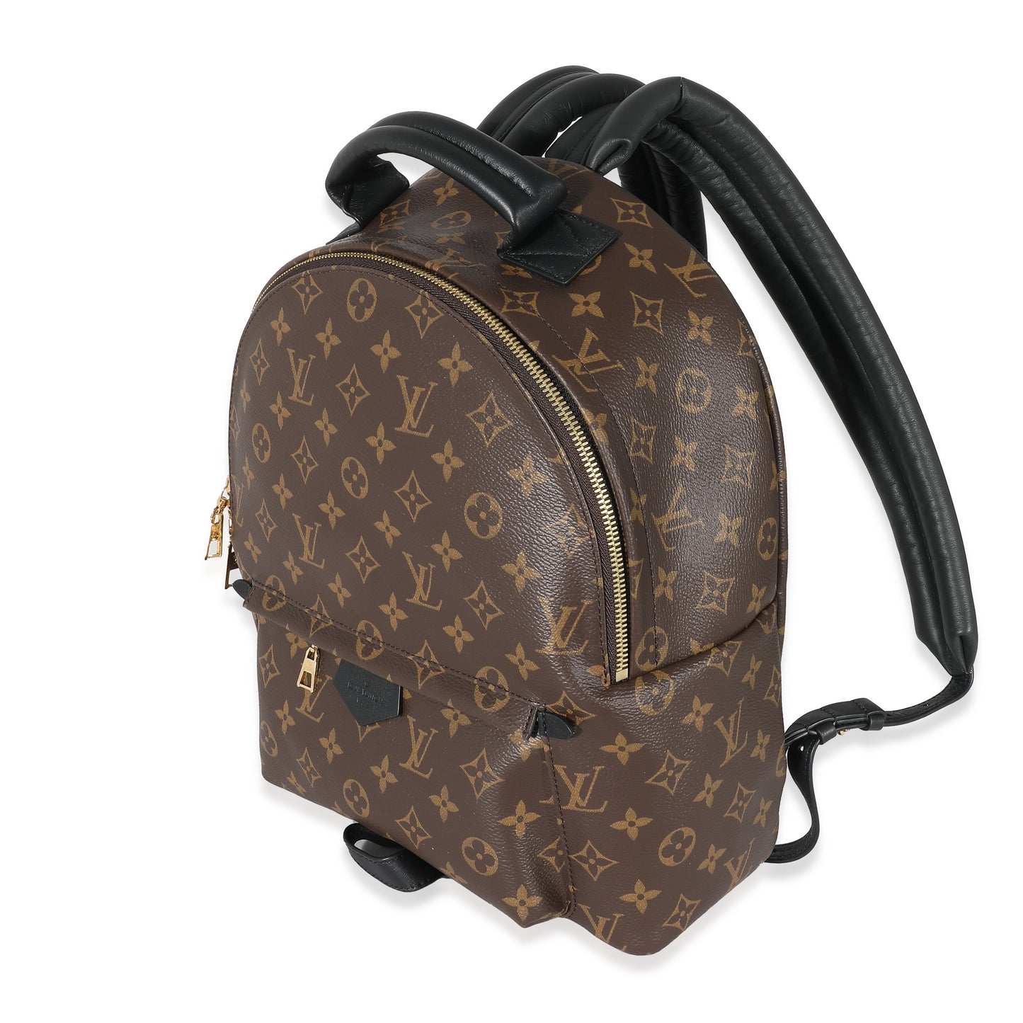Louis Vuitton Palm Springs MM Monogram Canvas Jewelry 5