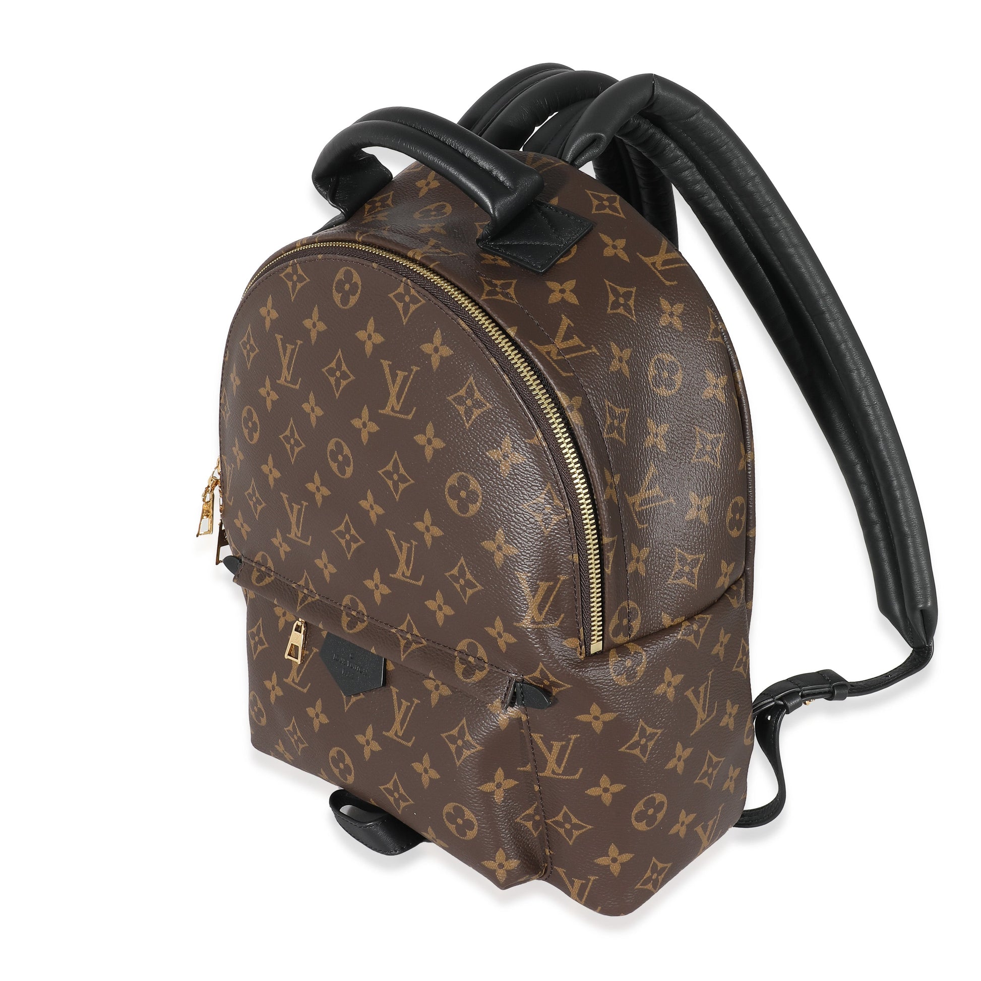 Louis Vuitton Palm Springs MM Monogram Canvas Jewelry 5