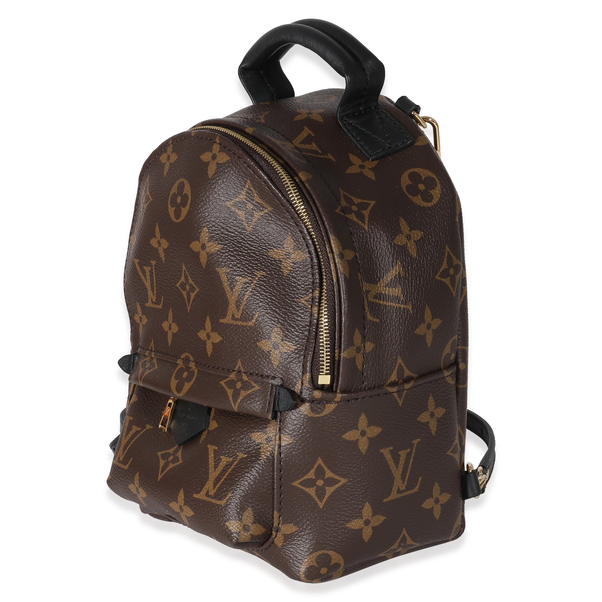 Louis Vuitton Palm Springs Monogram Canvas Mini Jewelry 6